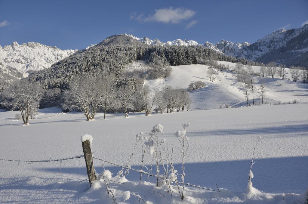 Vila Haus Rosina Admont Exteriér fotografie