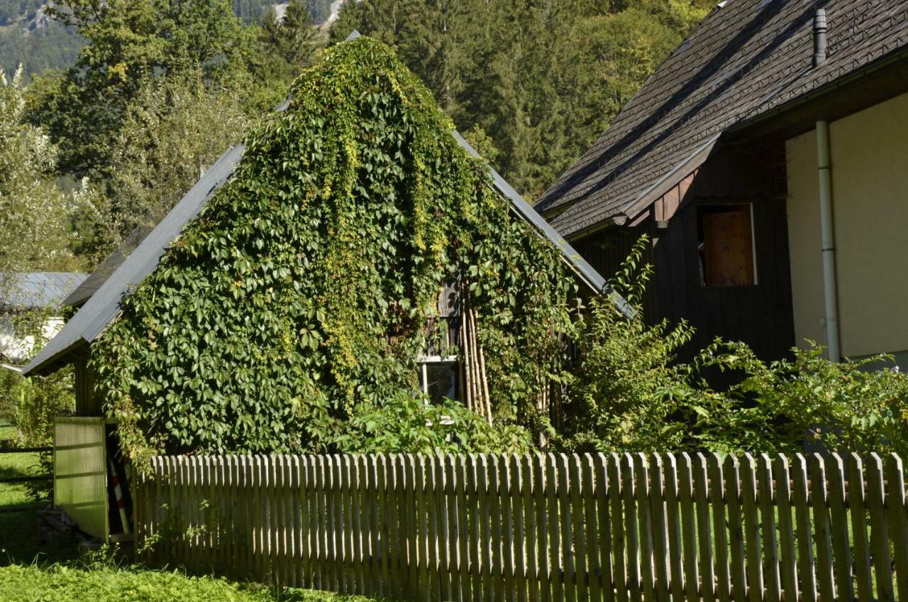 Vila Haus Rosina Admont Exteriér fotografie