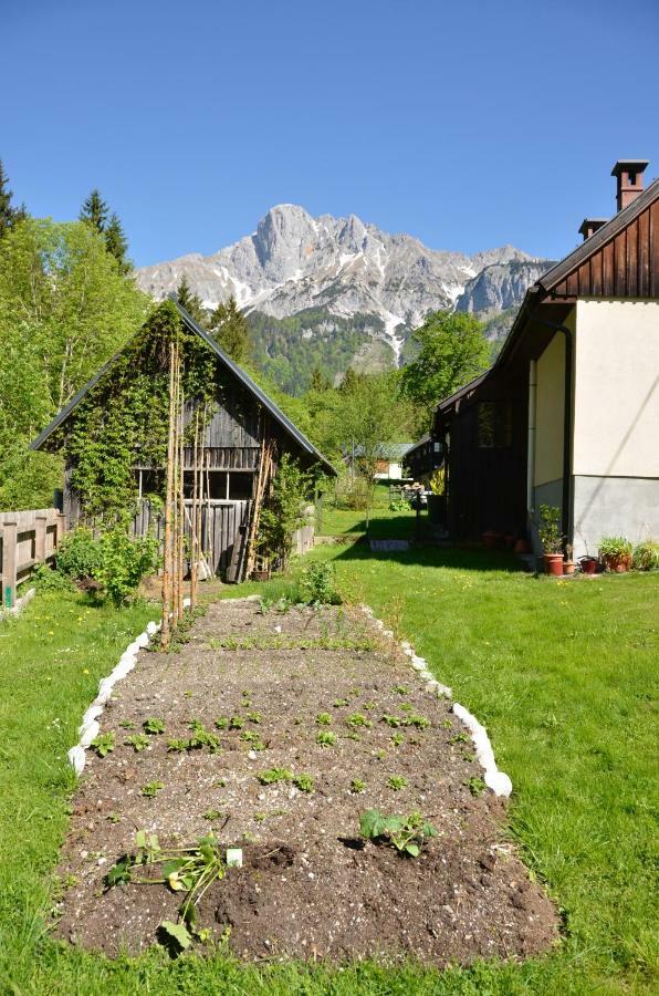 Vila Haus Rosina Admont Exteriér fotografie