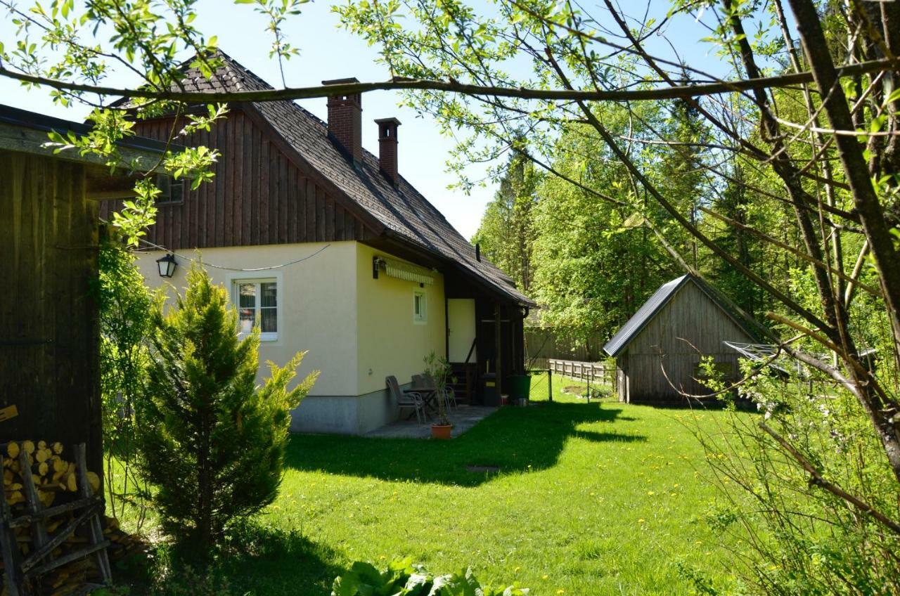 Vila Haus Rosina Admont Exteriér fotografie
