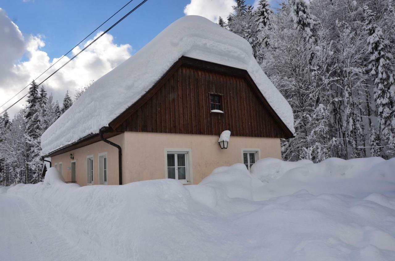 Vila Haus Rosina Admont Exteriér fotografie